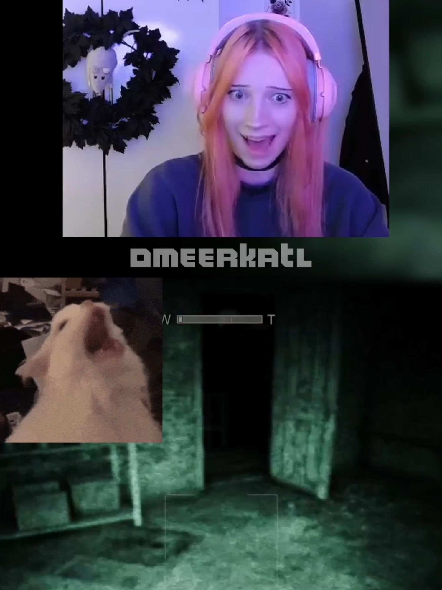 @Meerkat