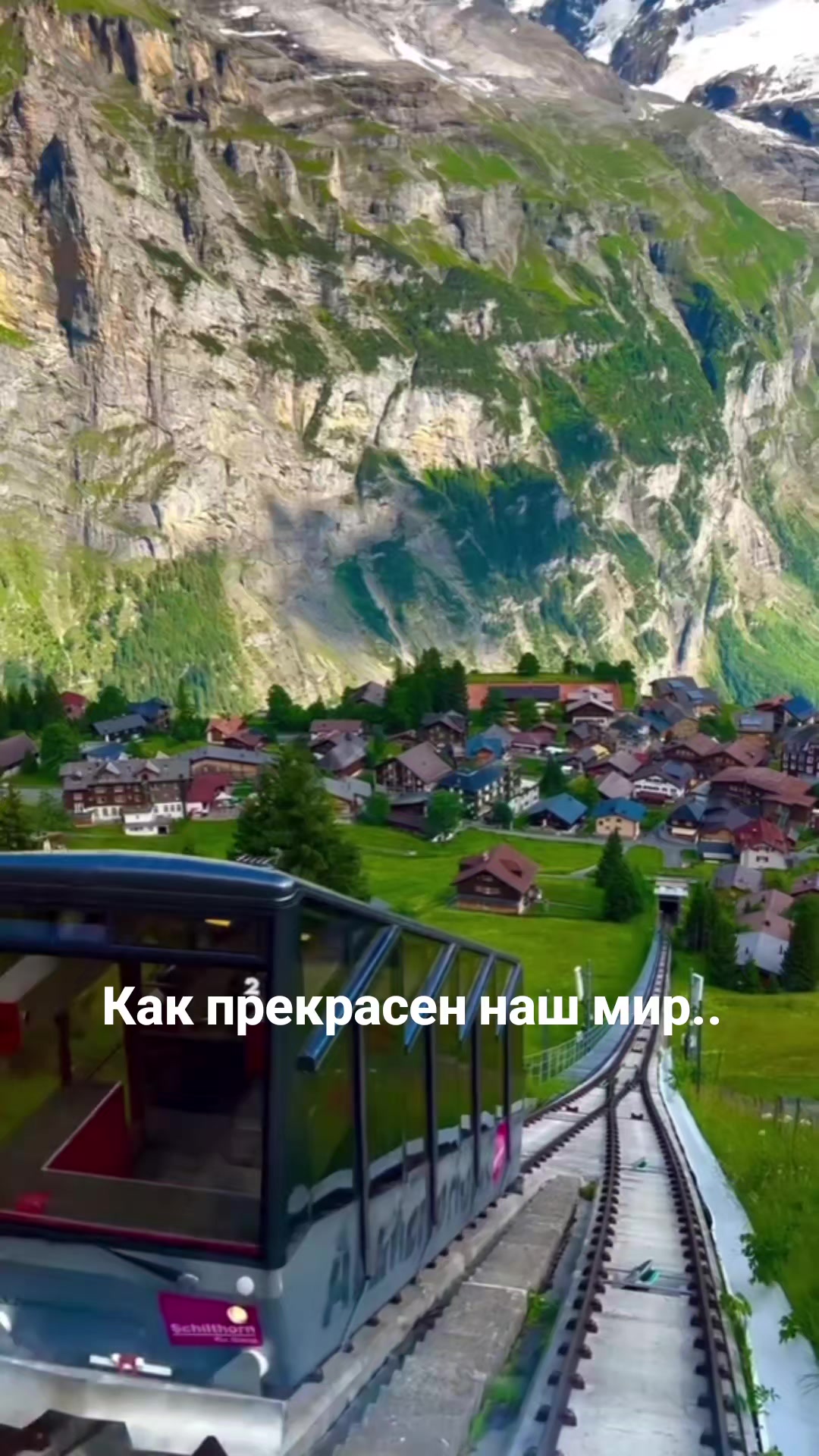 @Мила Телец.