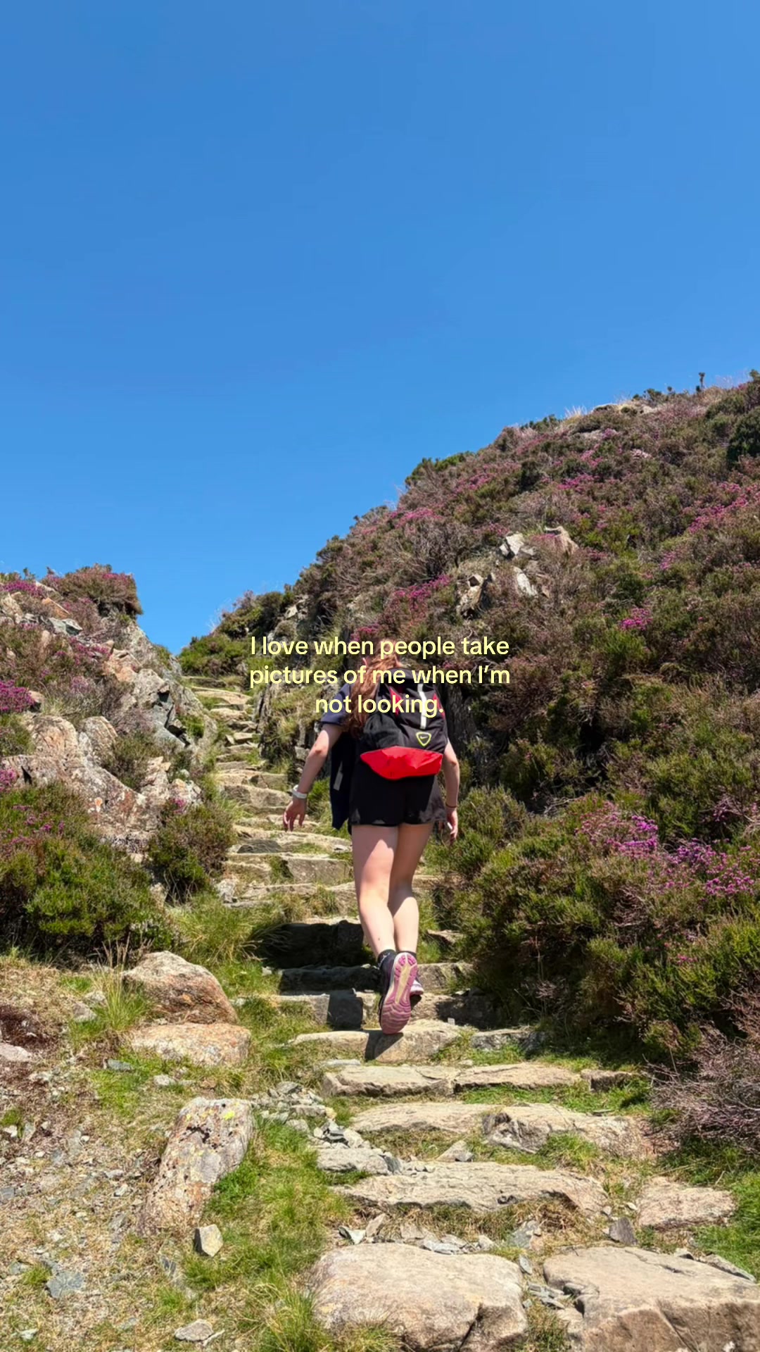 @zar