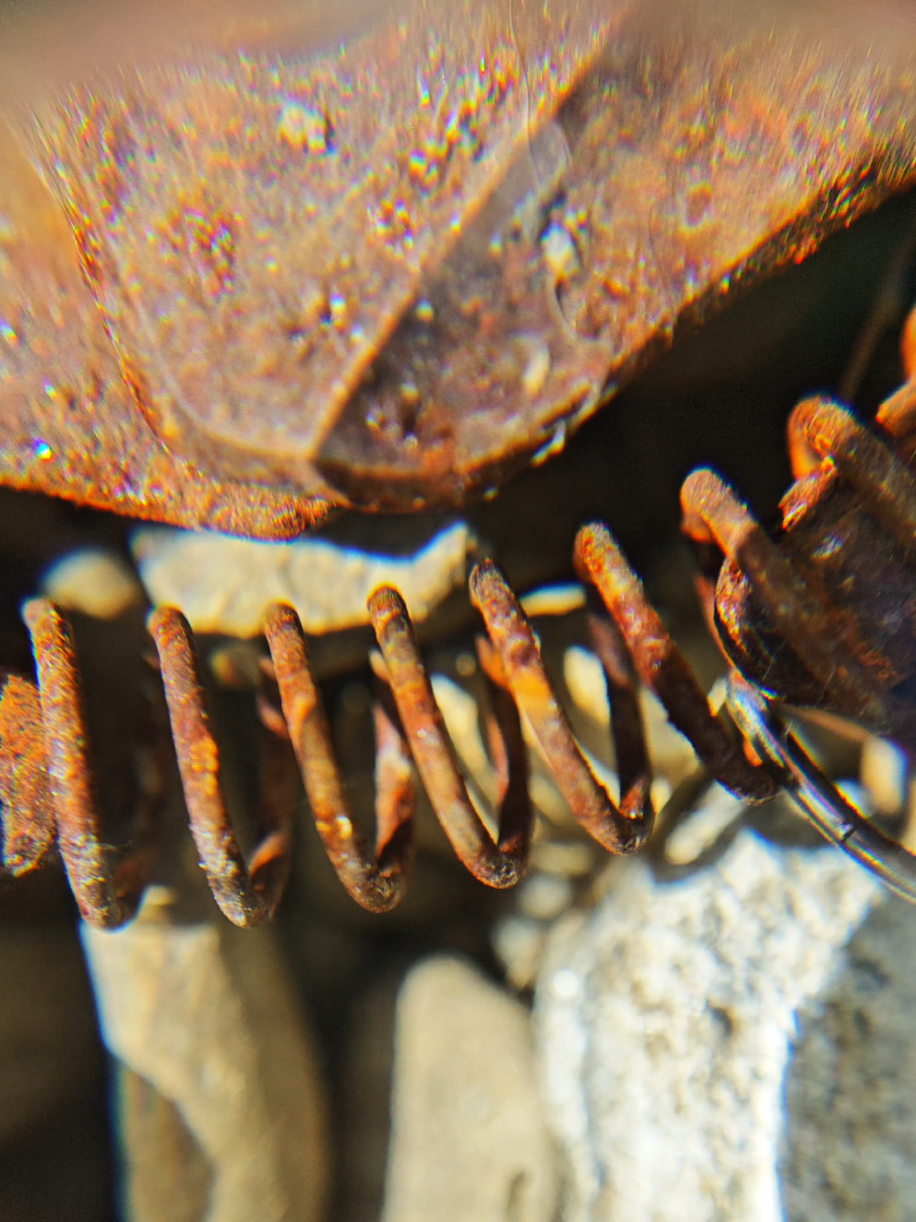 @Arny's Macro Vision