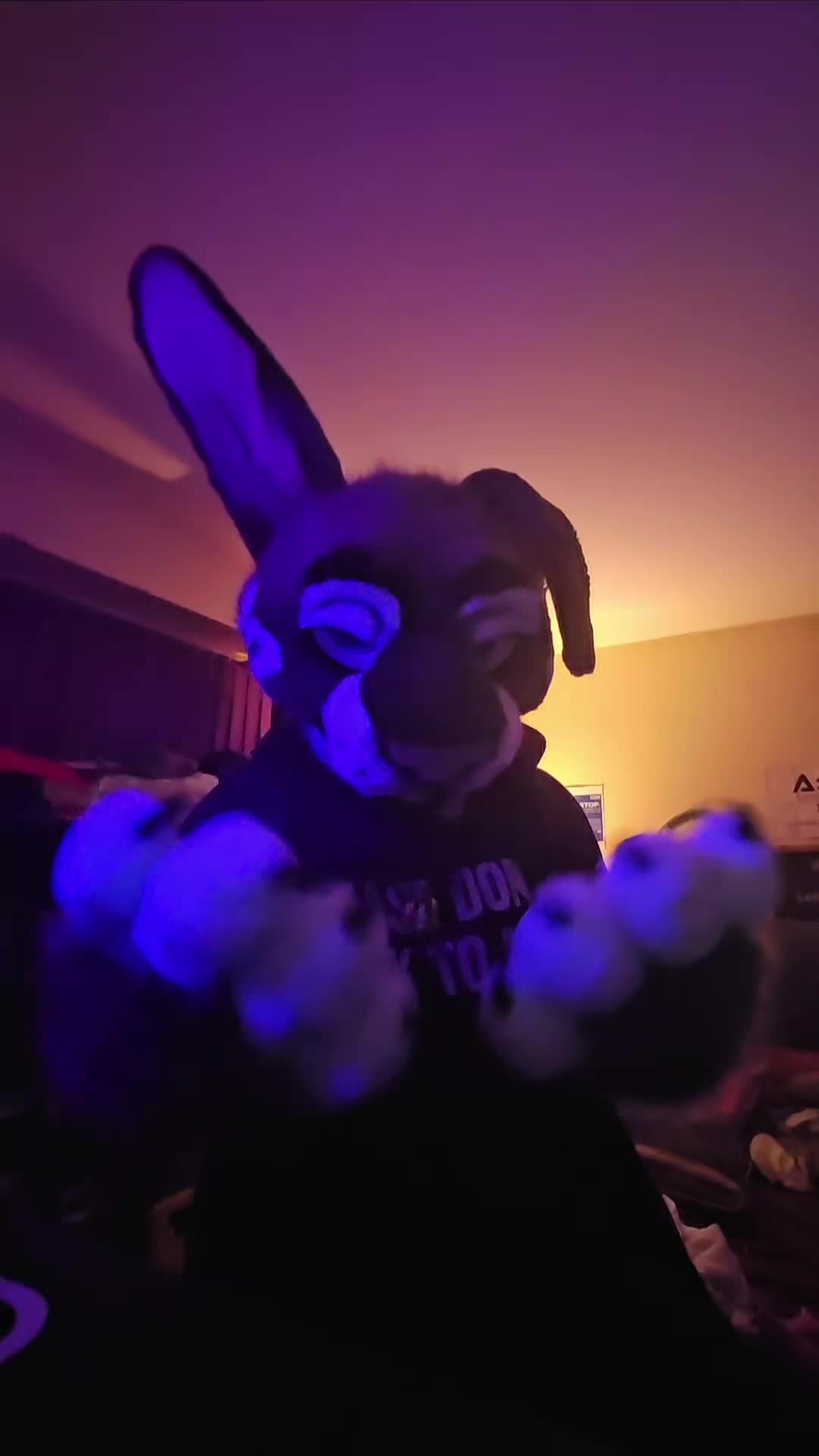 @Difficult Bunny!