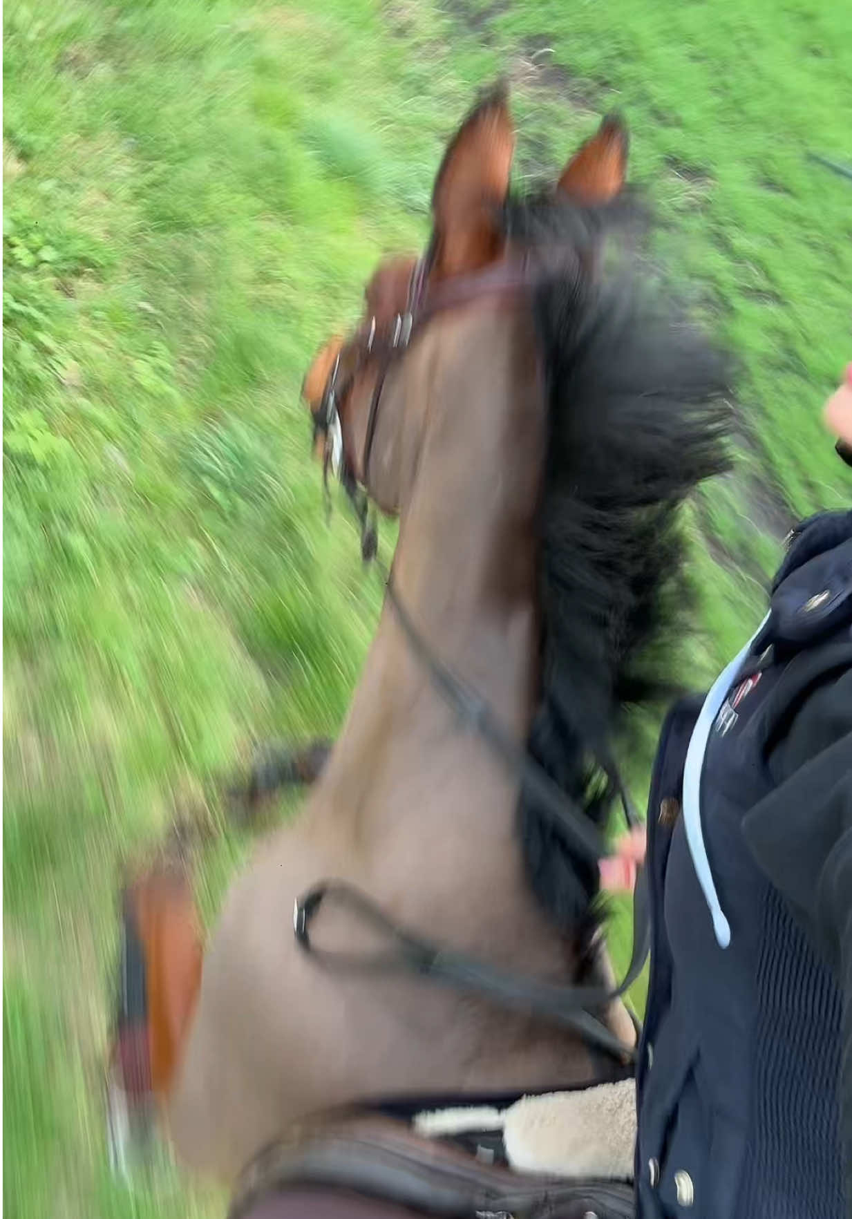 @𝙕𝙖𝙧𝙖 ♡︎