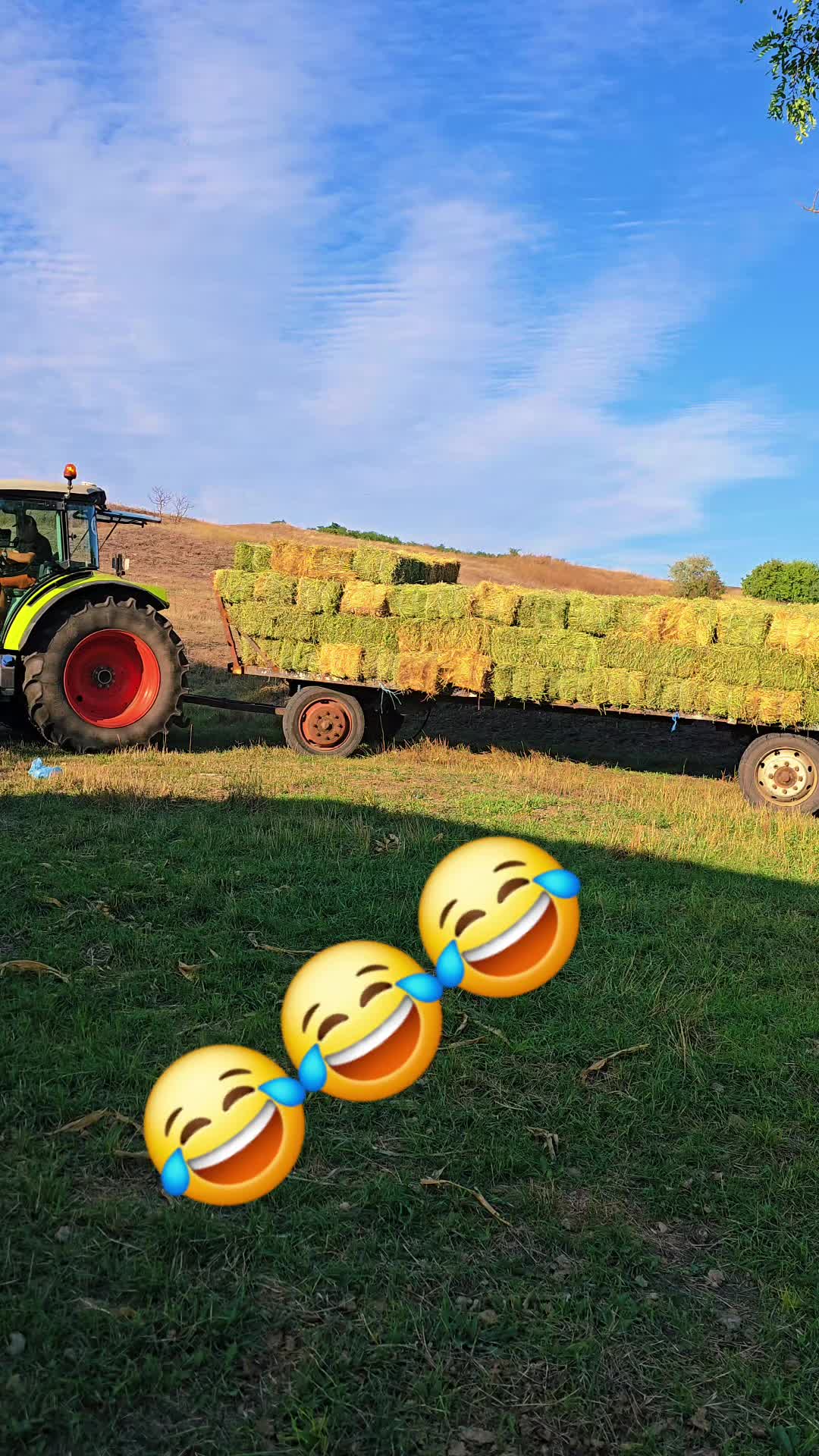 @FAVORIT BOTOȘANI