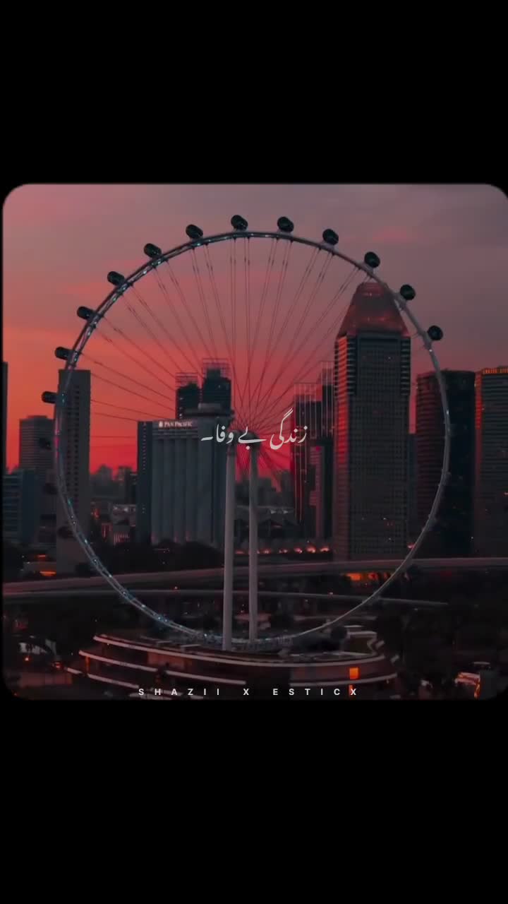 @Your-shazii-🐼🥂