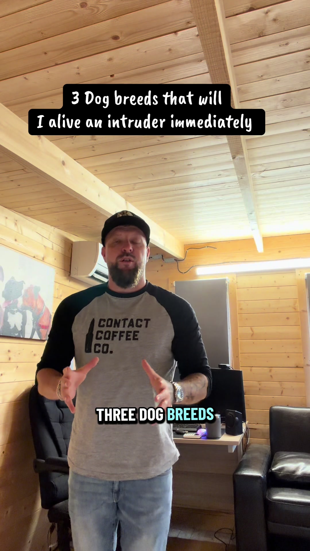 @SouthendDogTraining