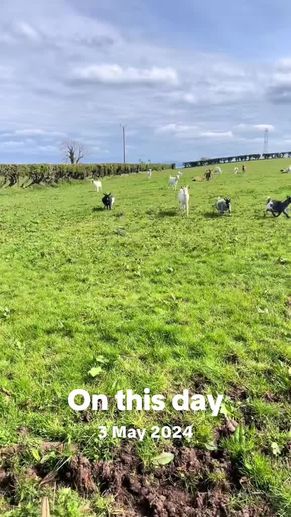 @Sadiethekid
