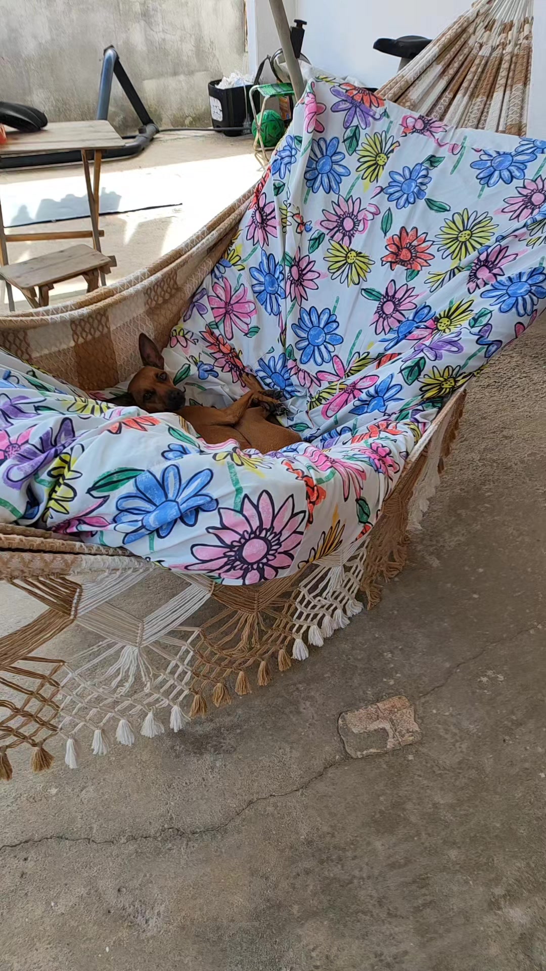 @Belinha e tiamara