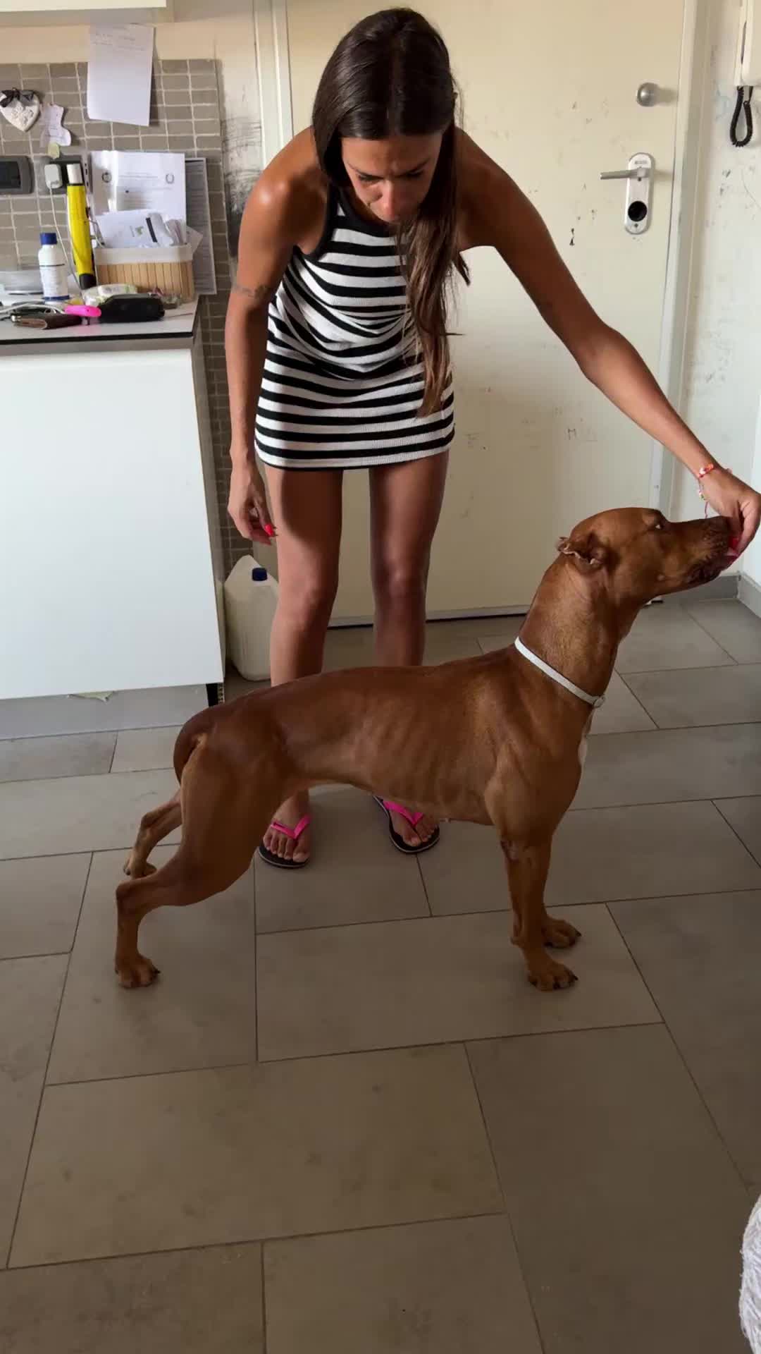 @Raoul's apbt