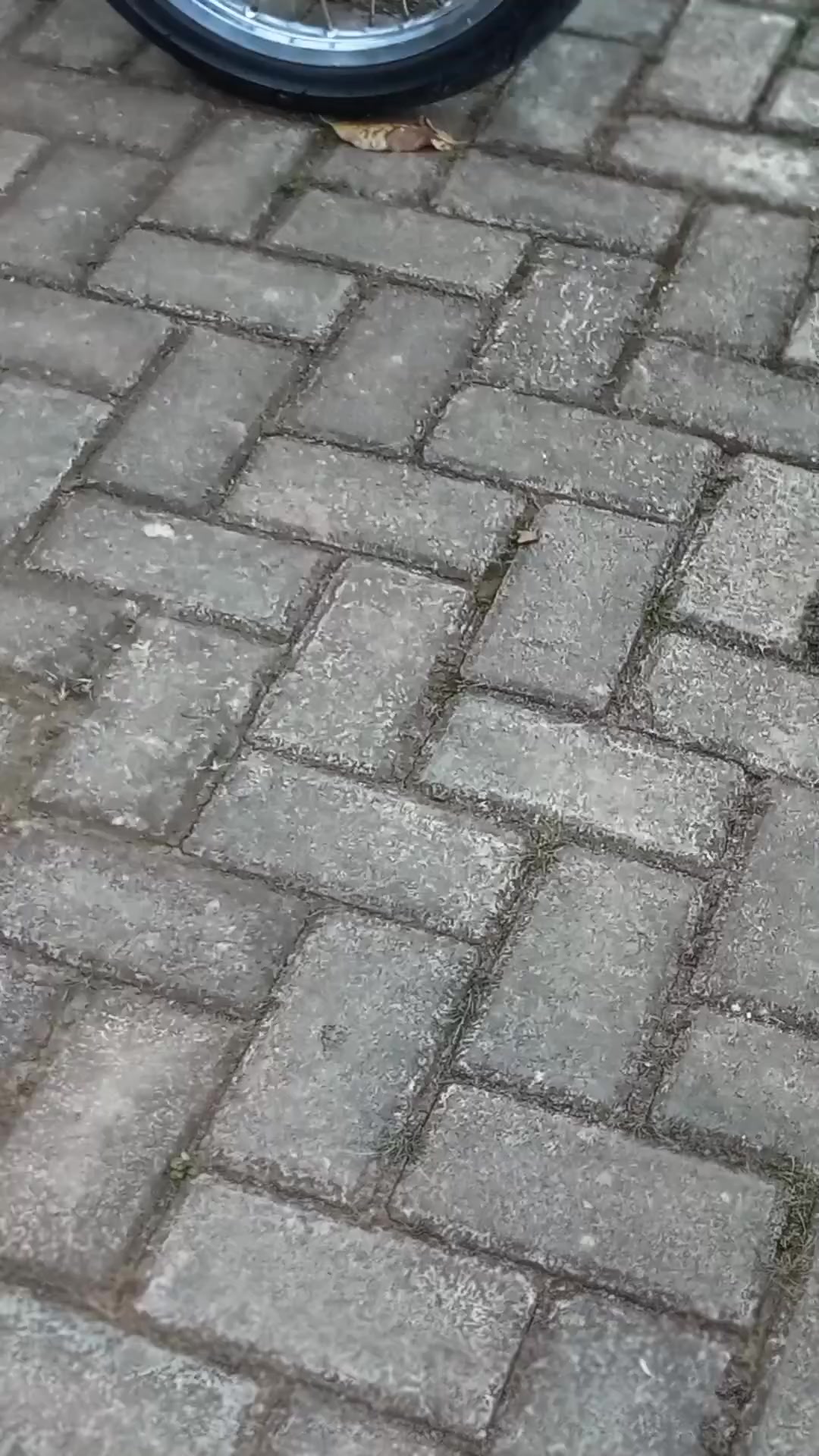 @𝙅𝙞𝙚𝙚 𝙮𝙤𝙮𝙖⚡