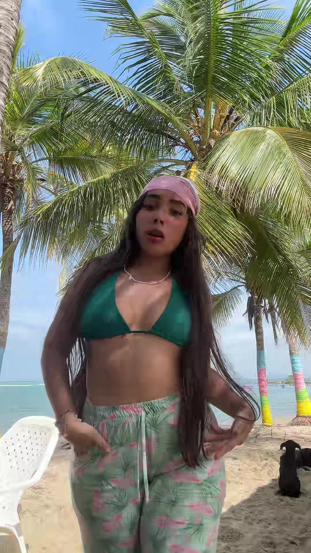 @maia