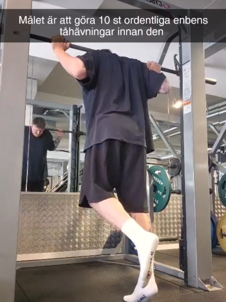 @FRANSTASTICHYBRID