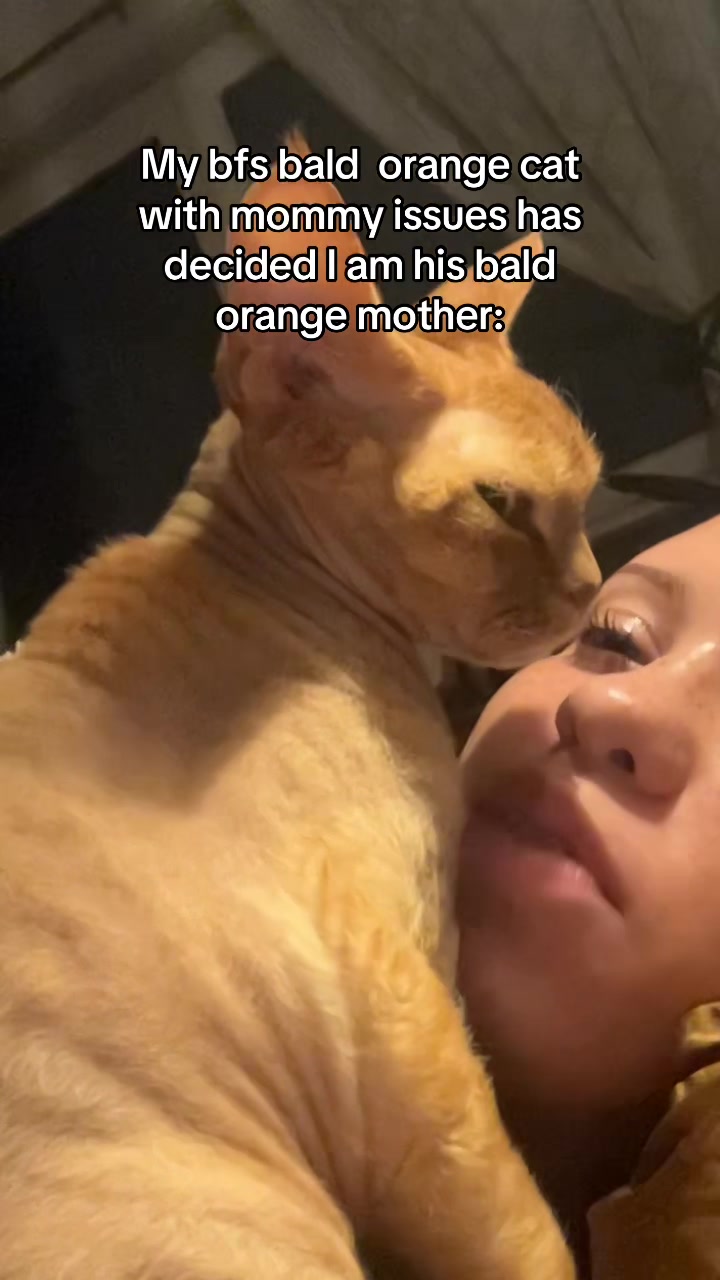 @minty