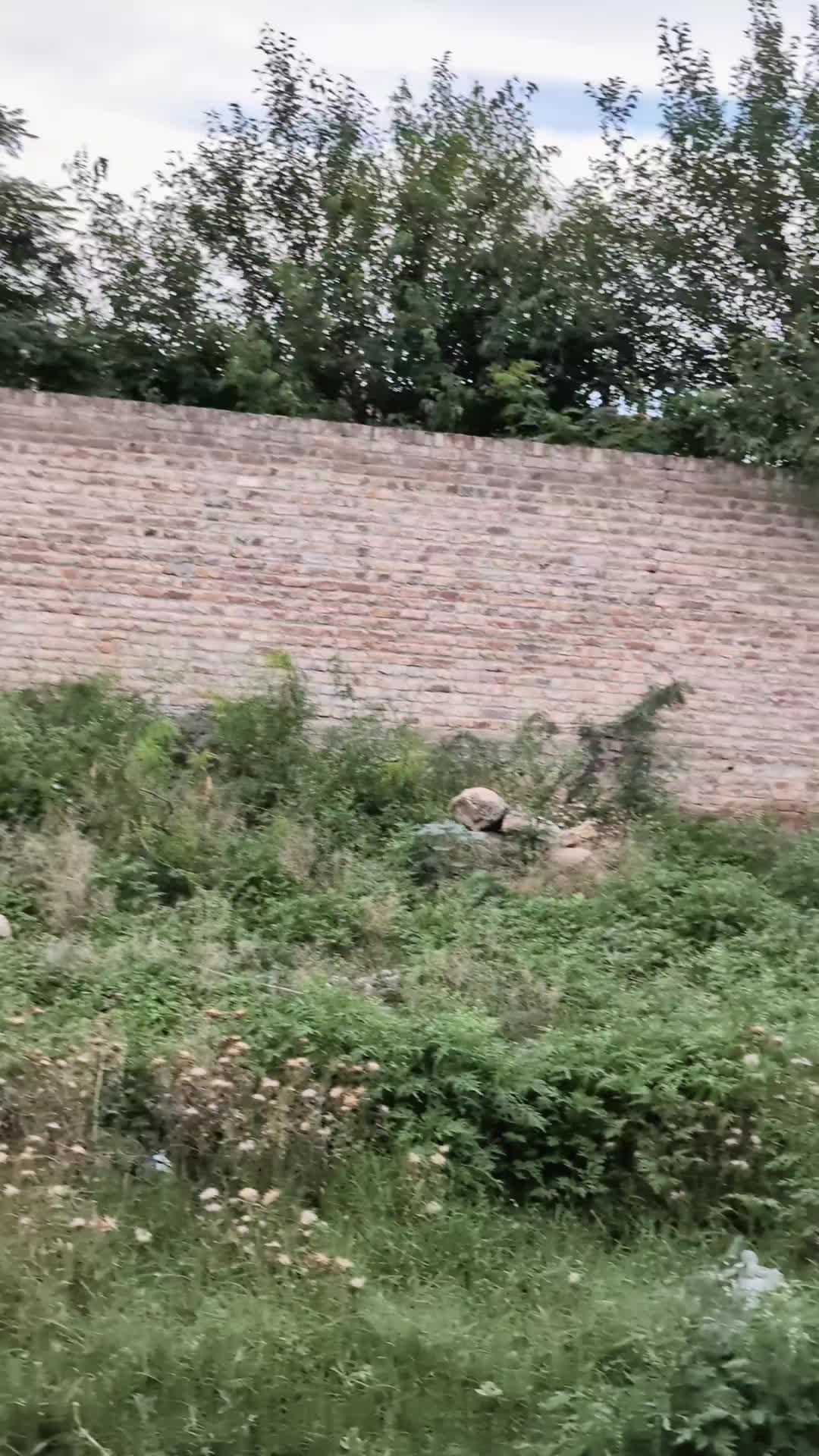 @Salman Khan