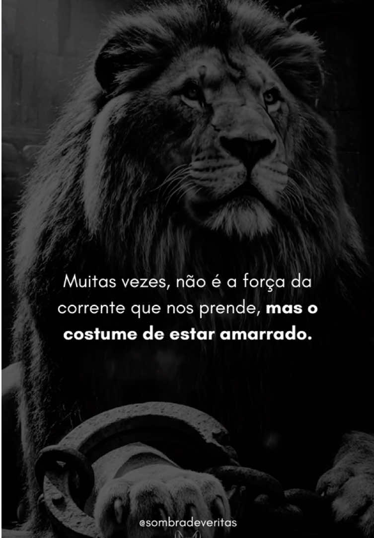 @Sombra de Veritas