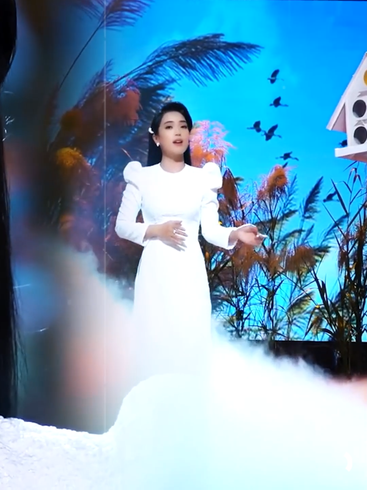 @Nam Việt Bolero