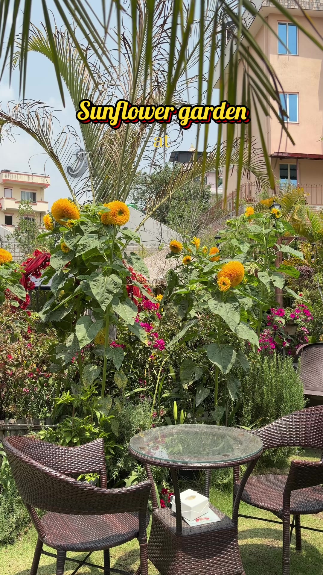@Newprakritigarden