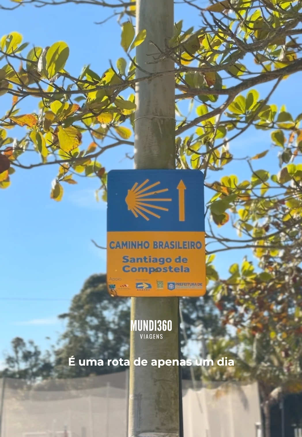 @mundi360viagens
