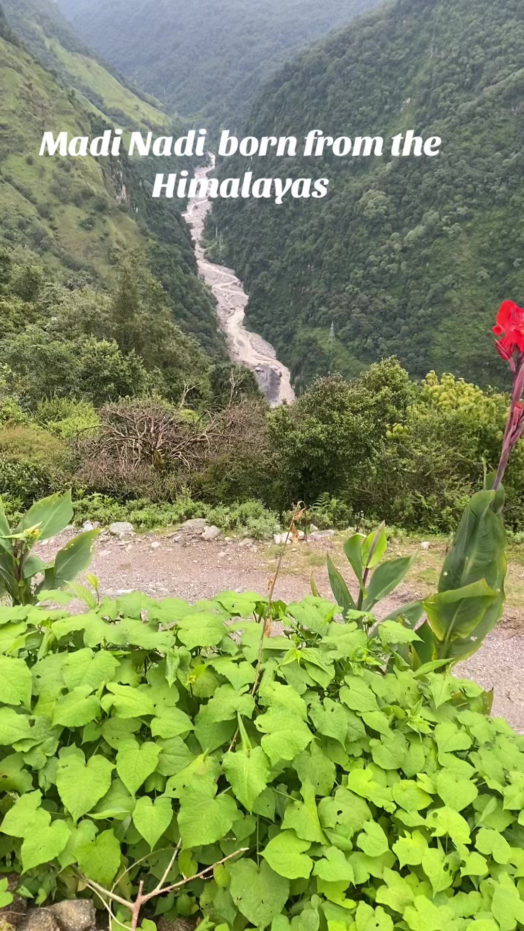 @ANNAPURNA COTTAGE & TEND CAMP