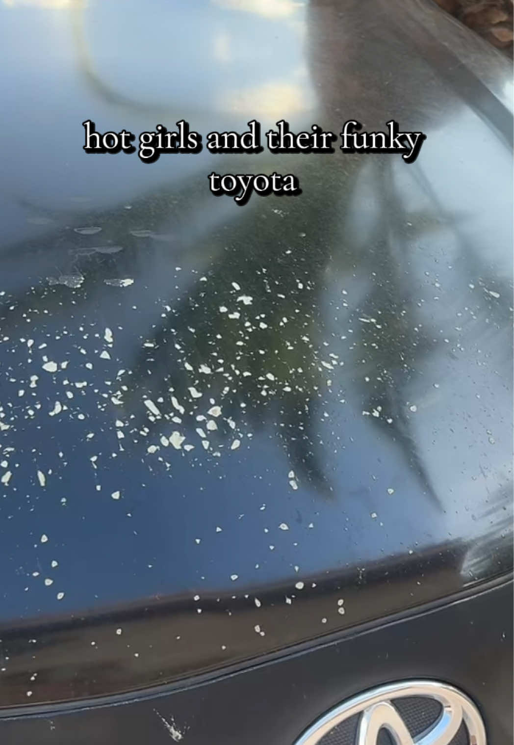 @k a r l a n t h a