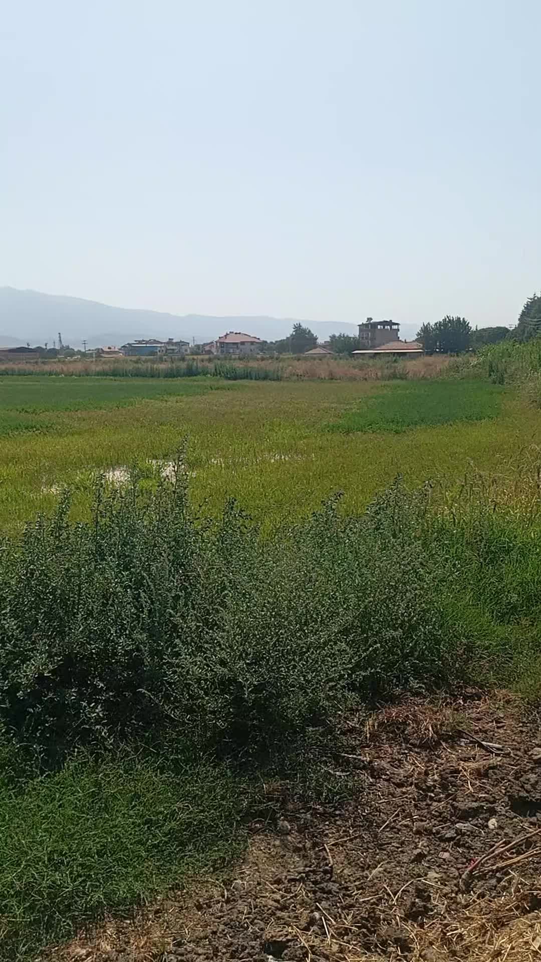 @Yılmaz demir