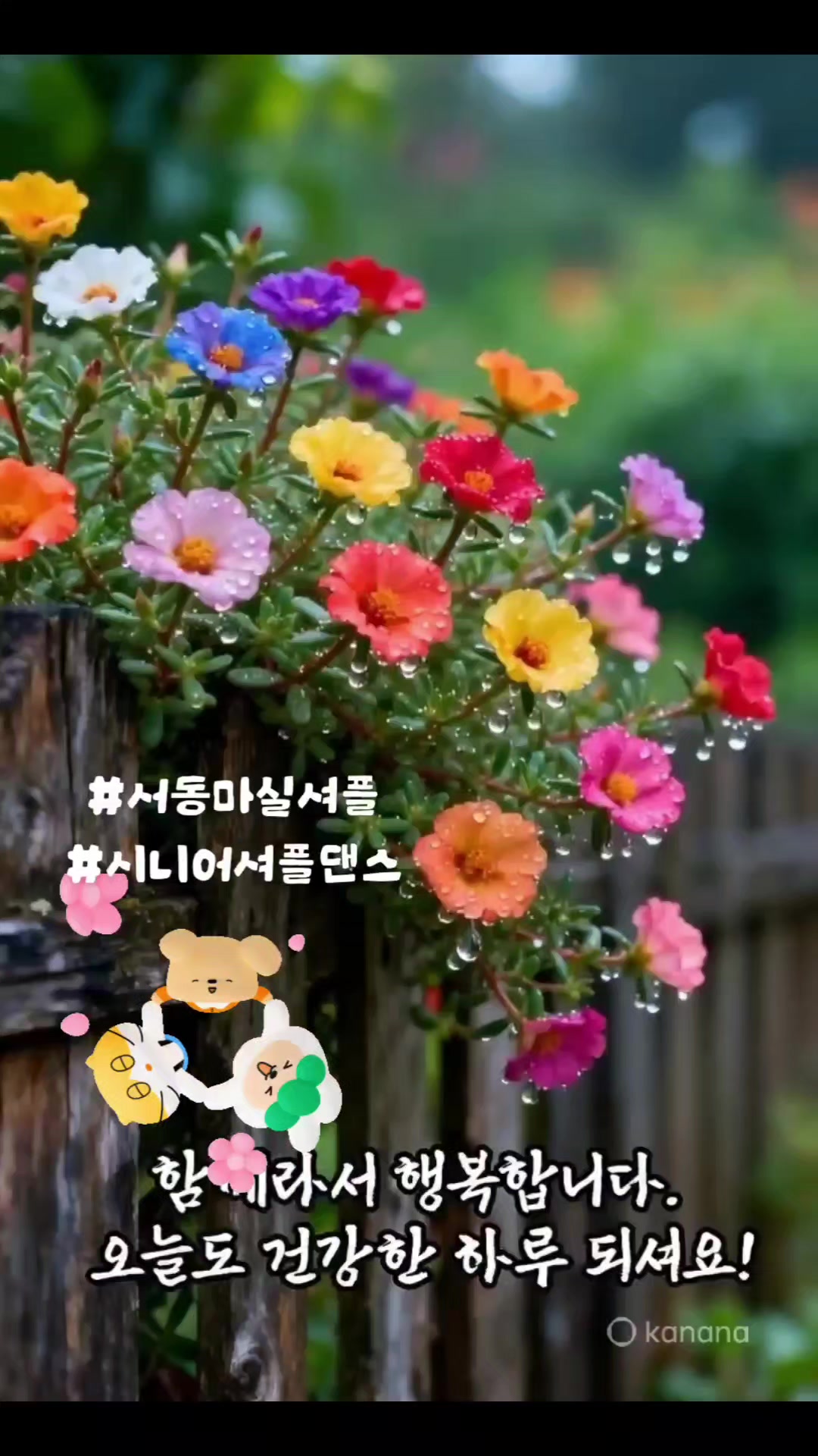 @열정하고잽이 셔플댄스강사
