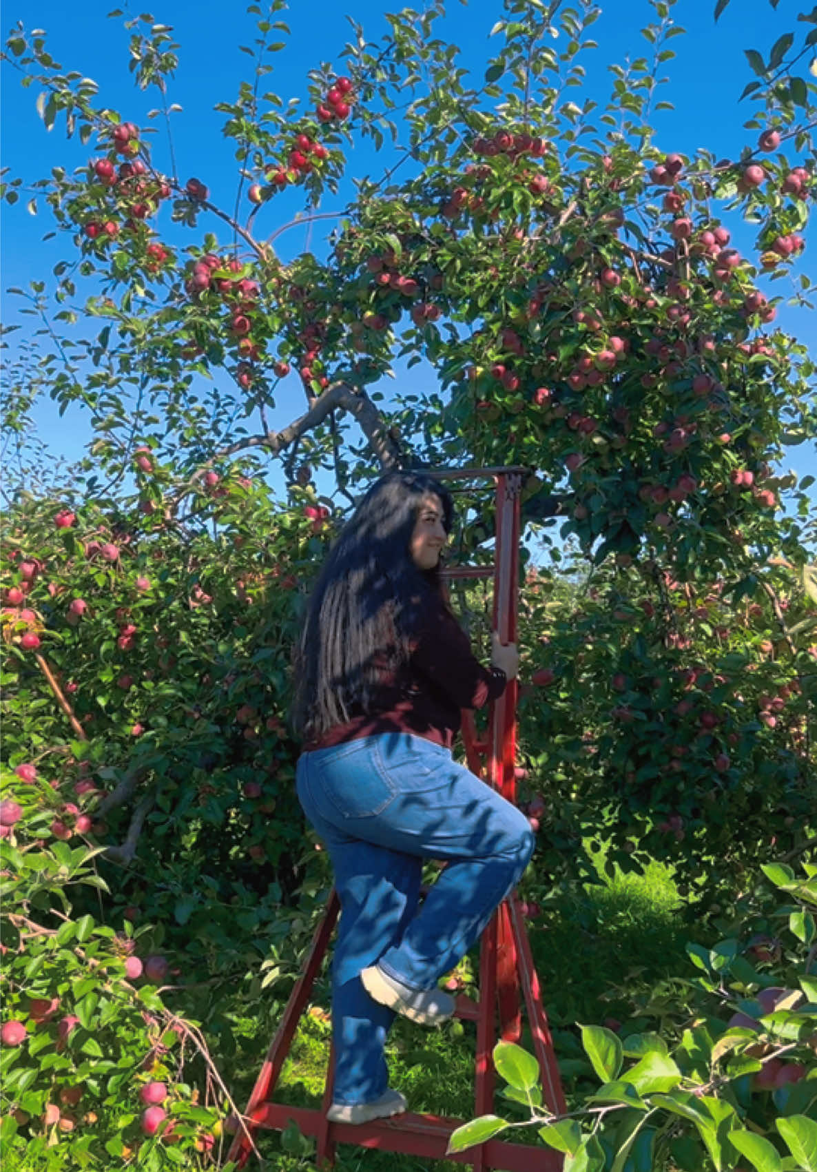 @رشروش