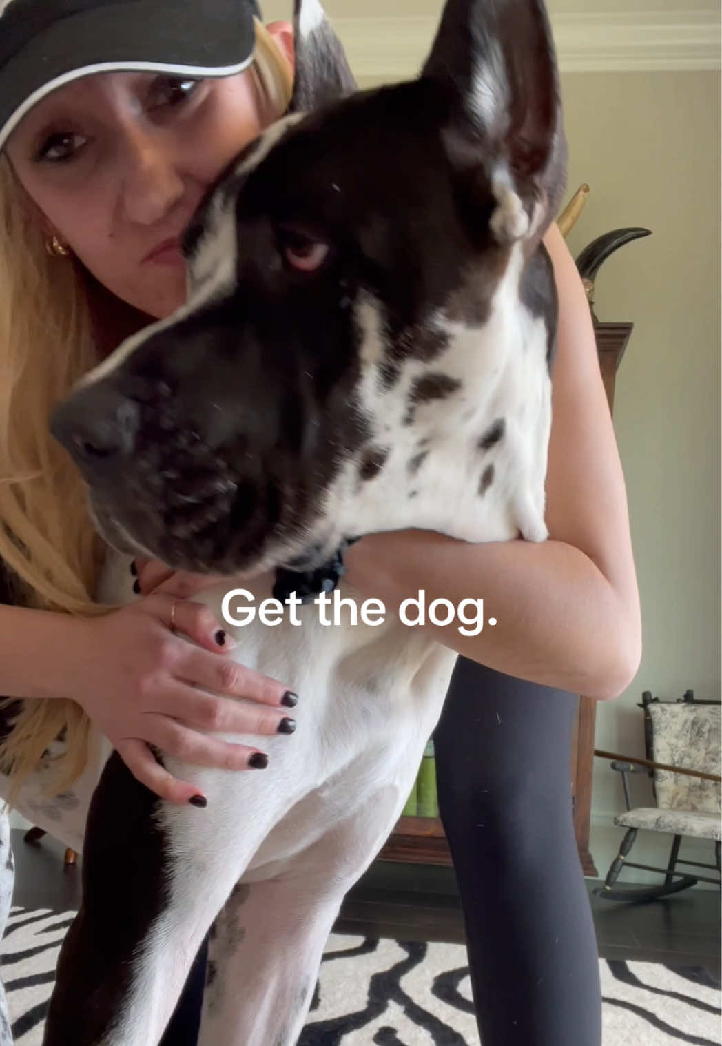 @Greyson the Great Dane
