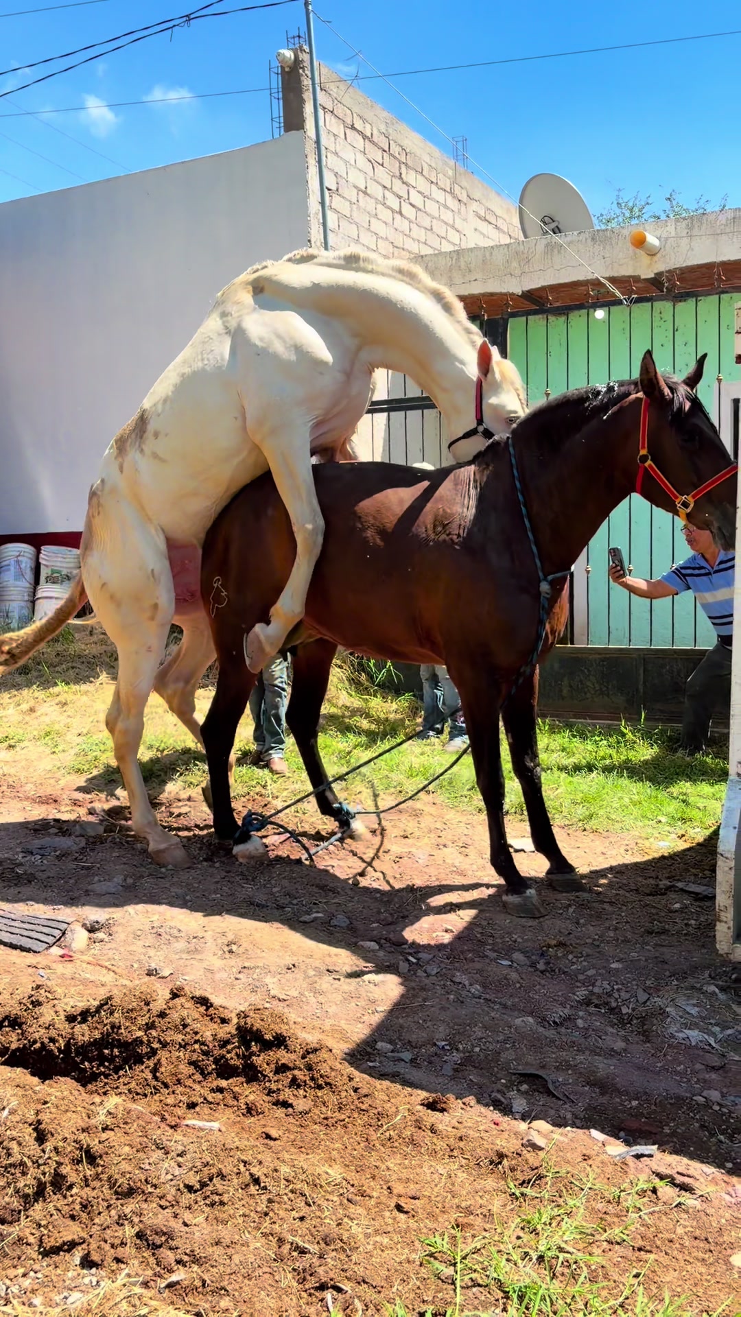 @Rancho los Arcos