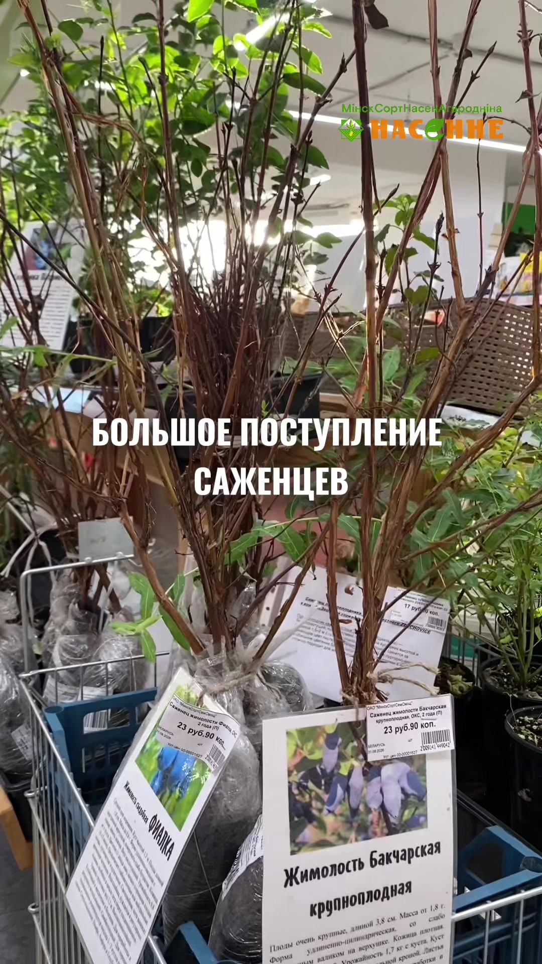 @nasenneby