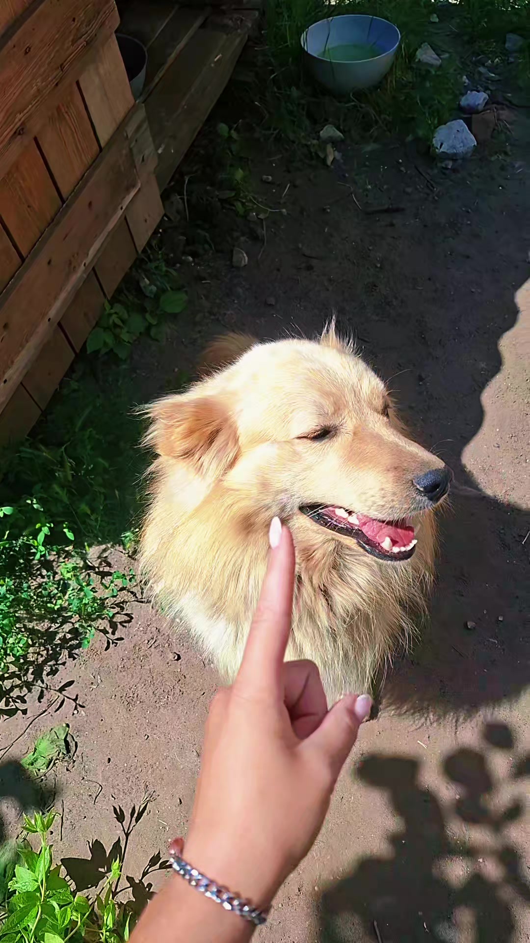 @❤️&zwj;🩹ТА САМА❤️&zwj;🩹