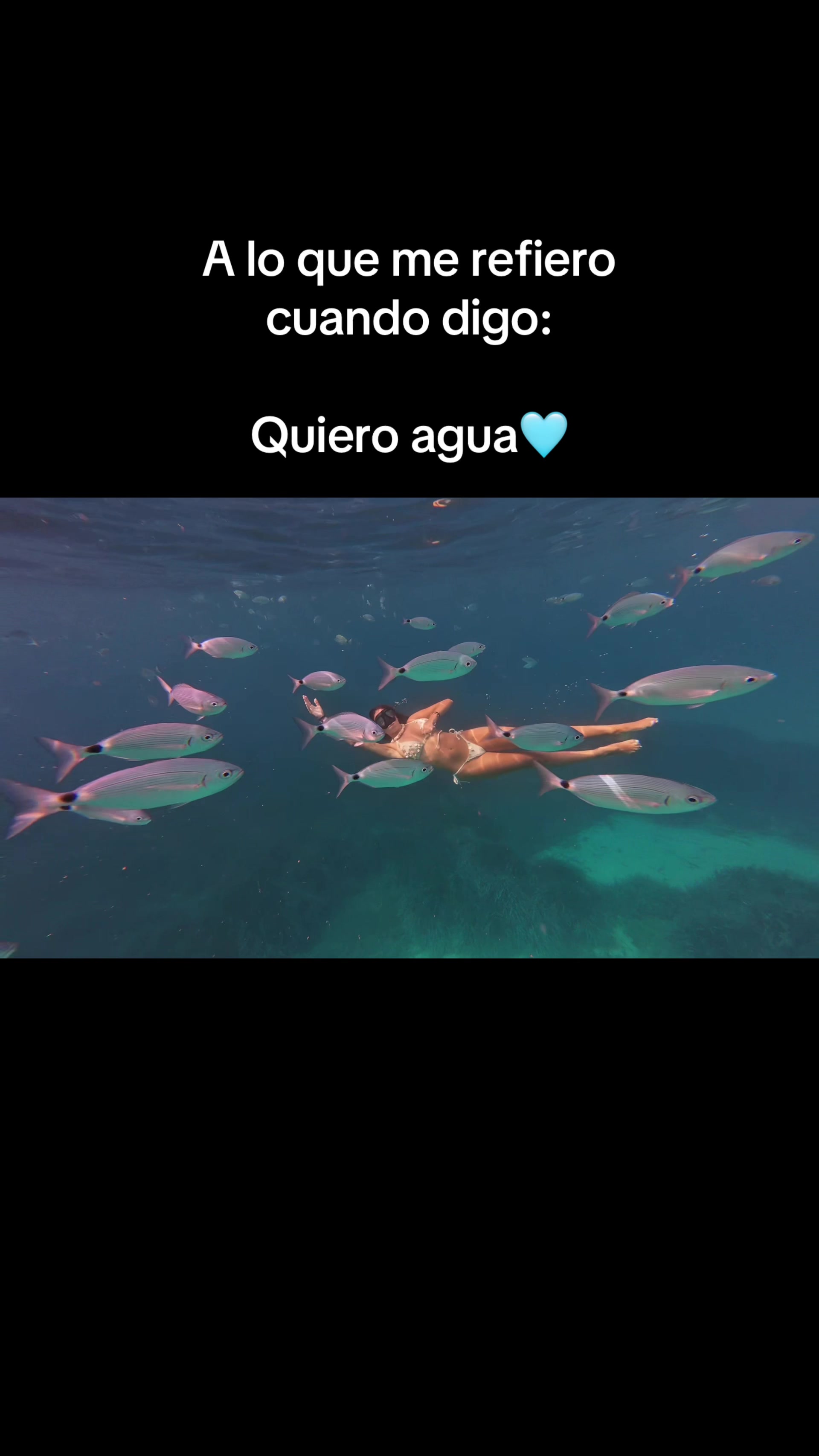 @neus.granado