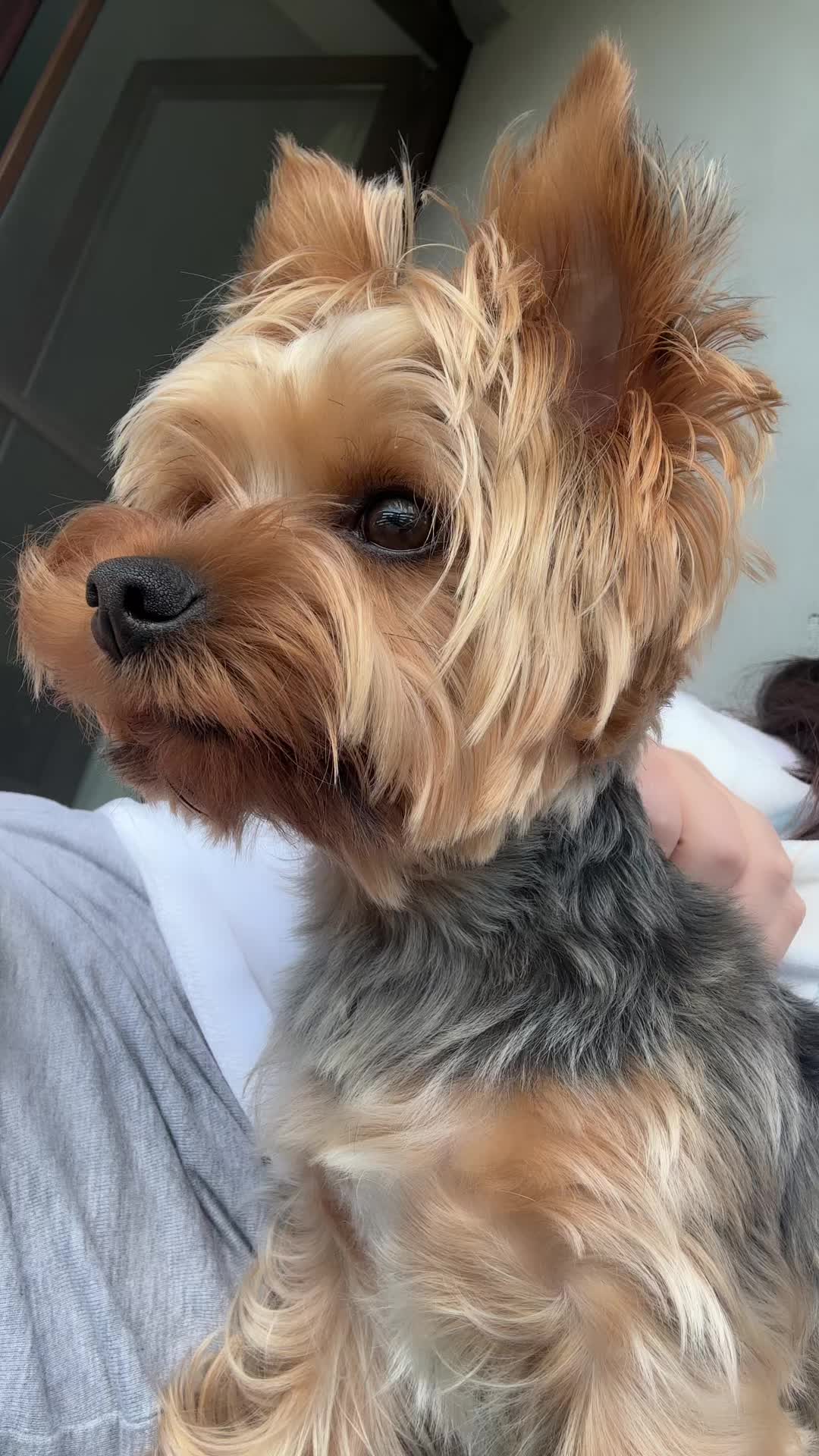 @Yoshi 🐾💙