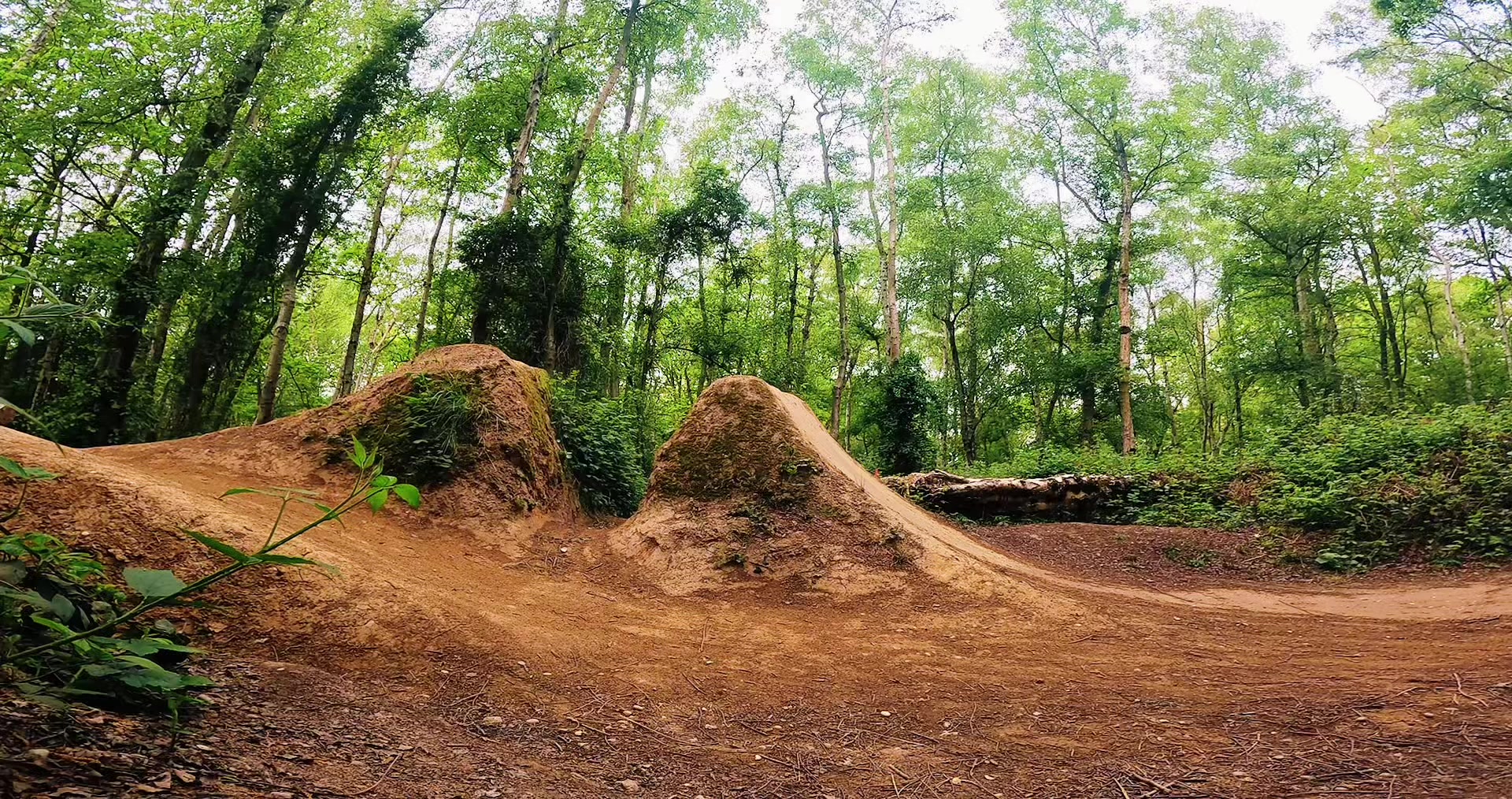 @MTB and life