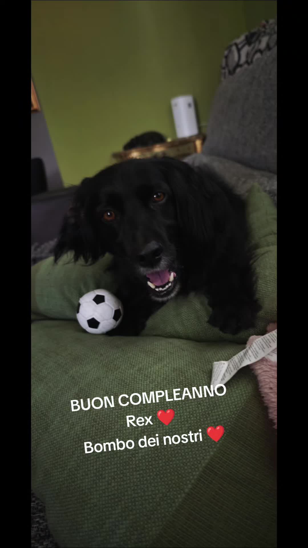 @Valentina Bond Albanesi