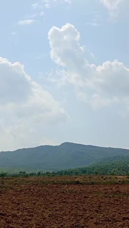 @Mano chakwali 🥰🥰🥰