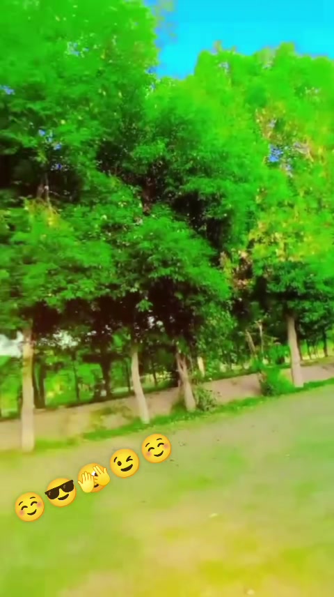 @Bashrat Bhatti 752