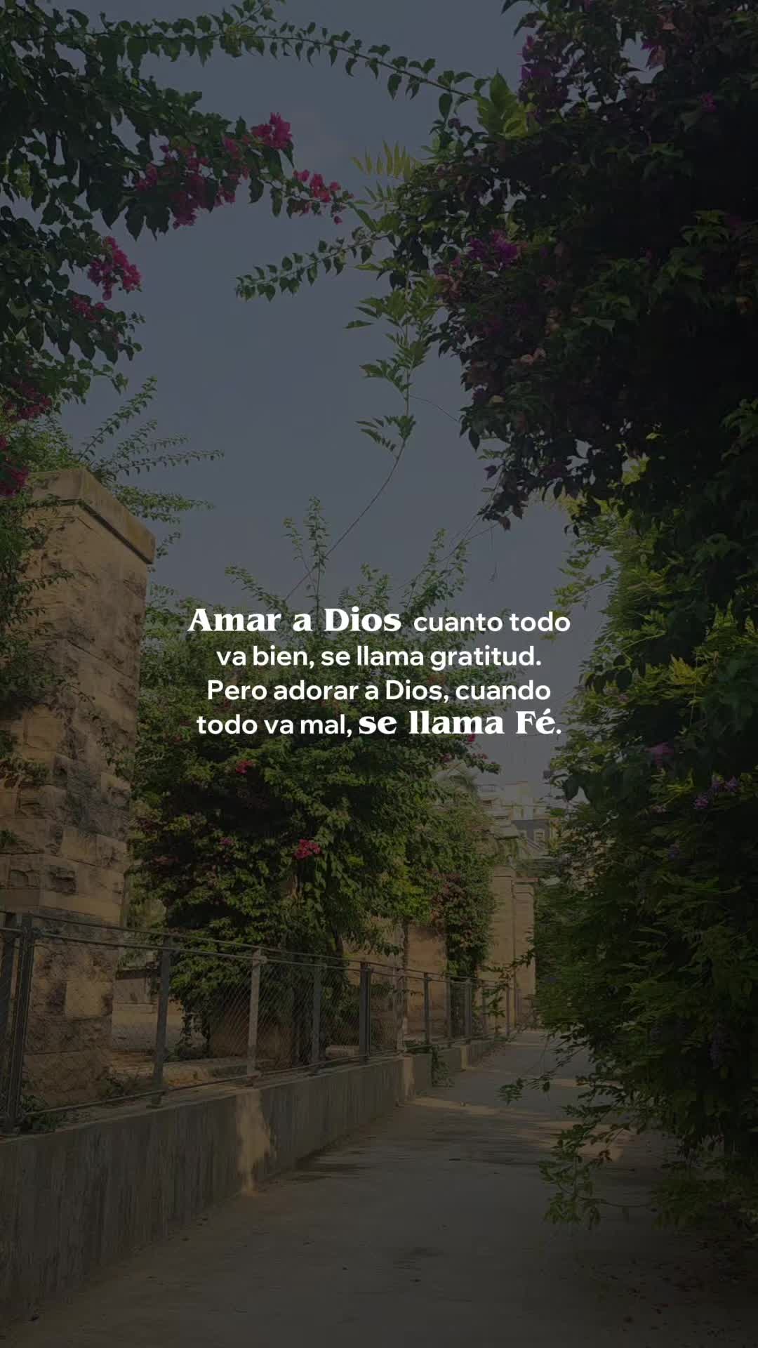 @Mivisi&oacute;n