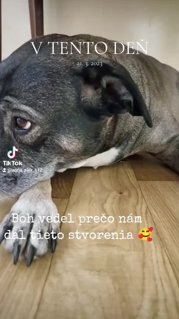 @Anna