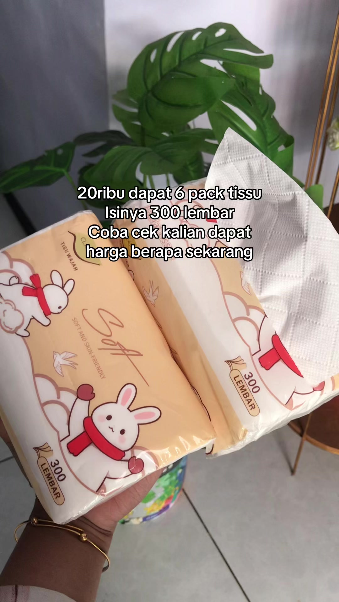 @kaktara24