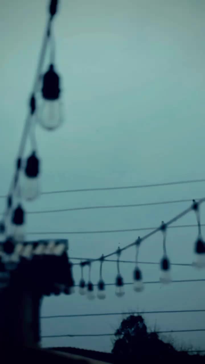 @꧁༺WA₦TED_𝕄𝔸𝔽𝕀𝔸༻DON꧂