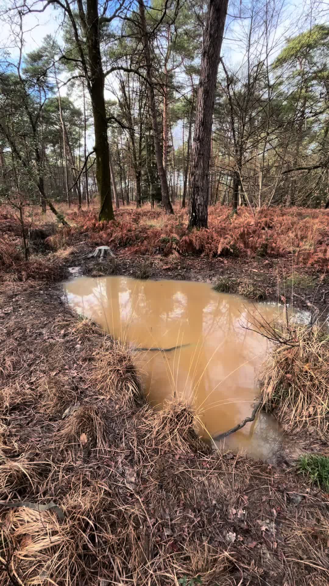 @Axel Wildlife