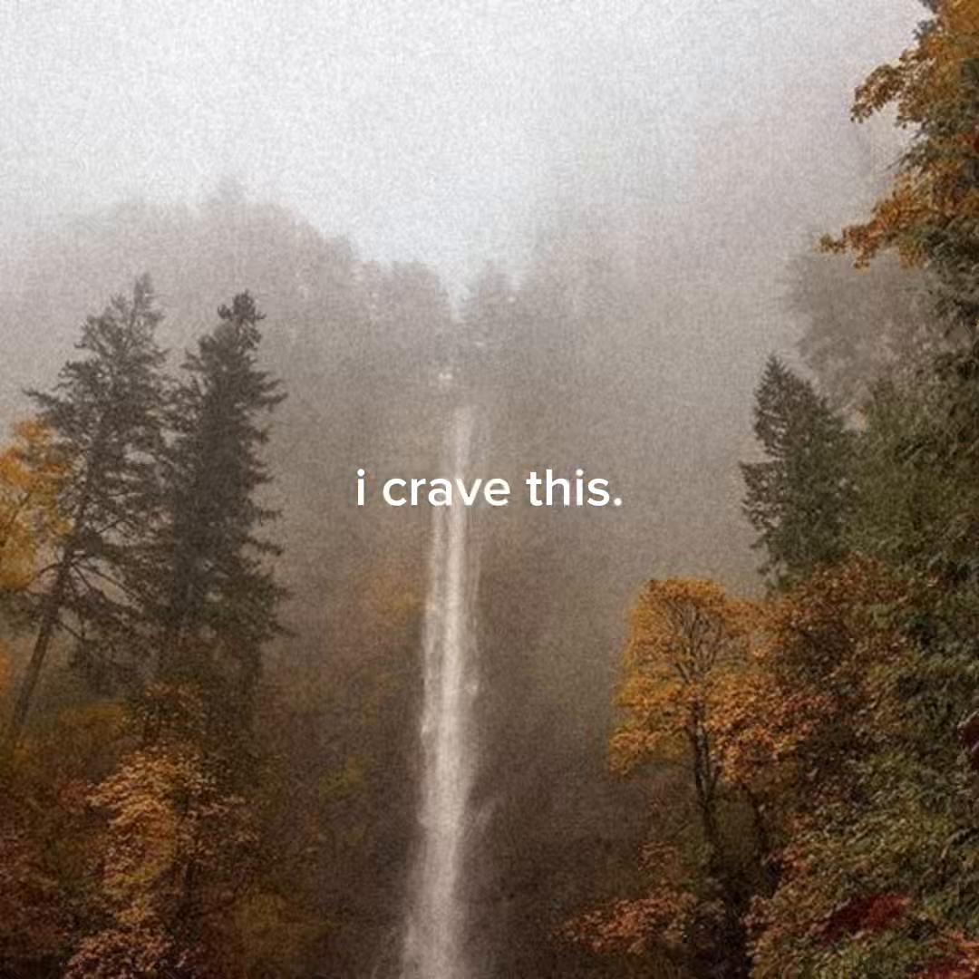 @feels🩶