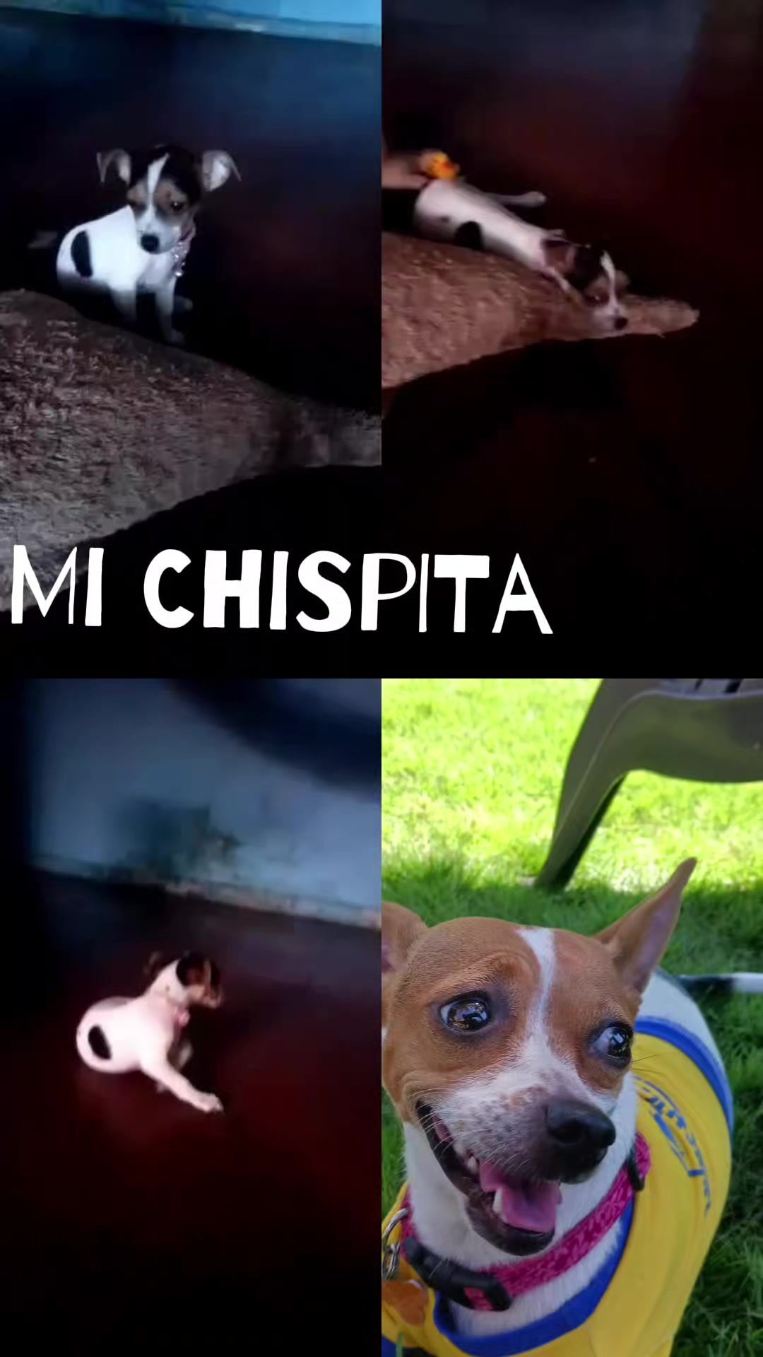 @Xochilita De Estrell