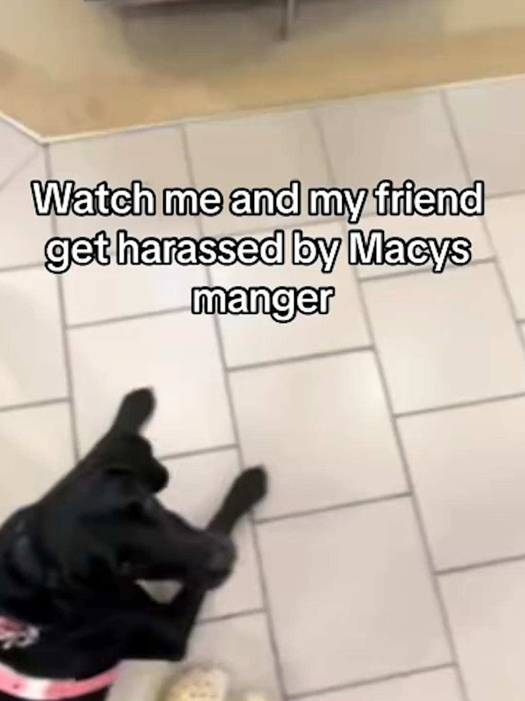 @Go Fetch