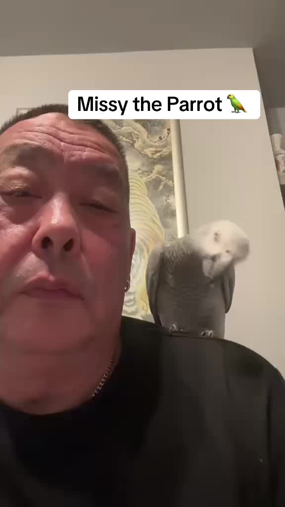 @Norman and Missy the Parrot