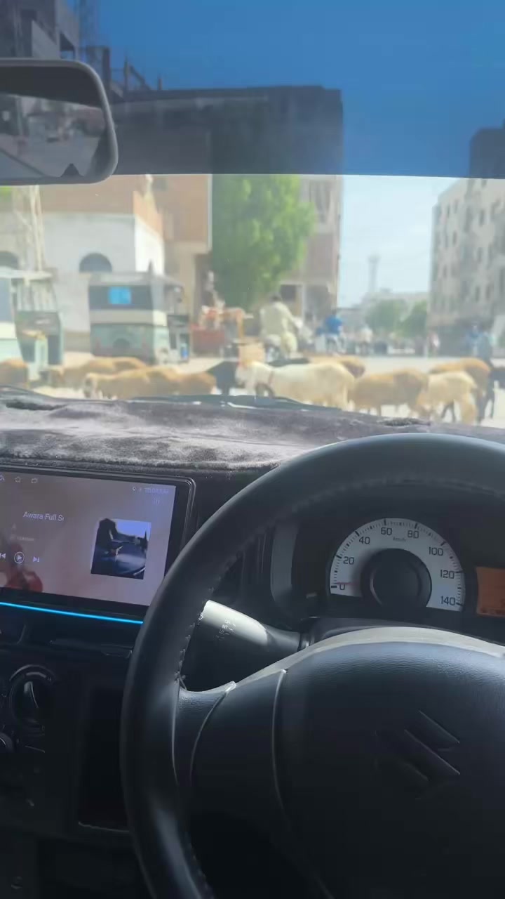 @𝘜𝘮𝘢𝘪𝘳 𝘈𝘳𝘢𝘪𝘯♕