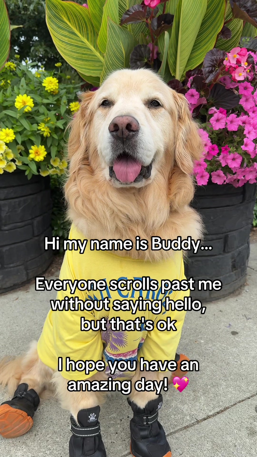 @A Golden and Fam