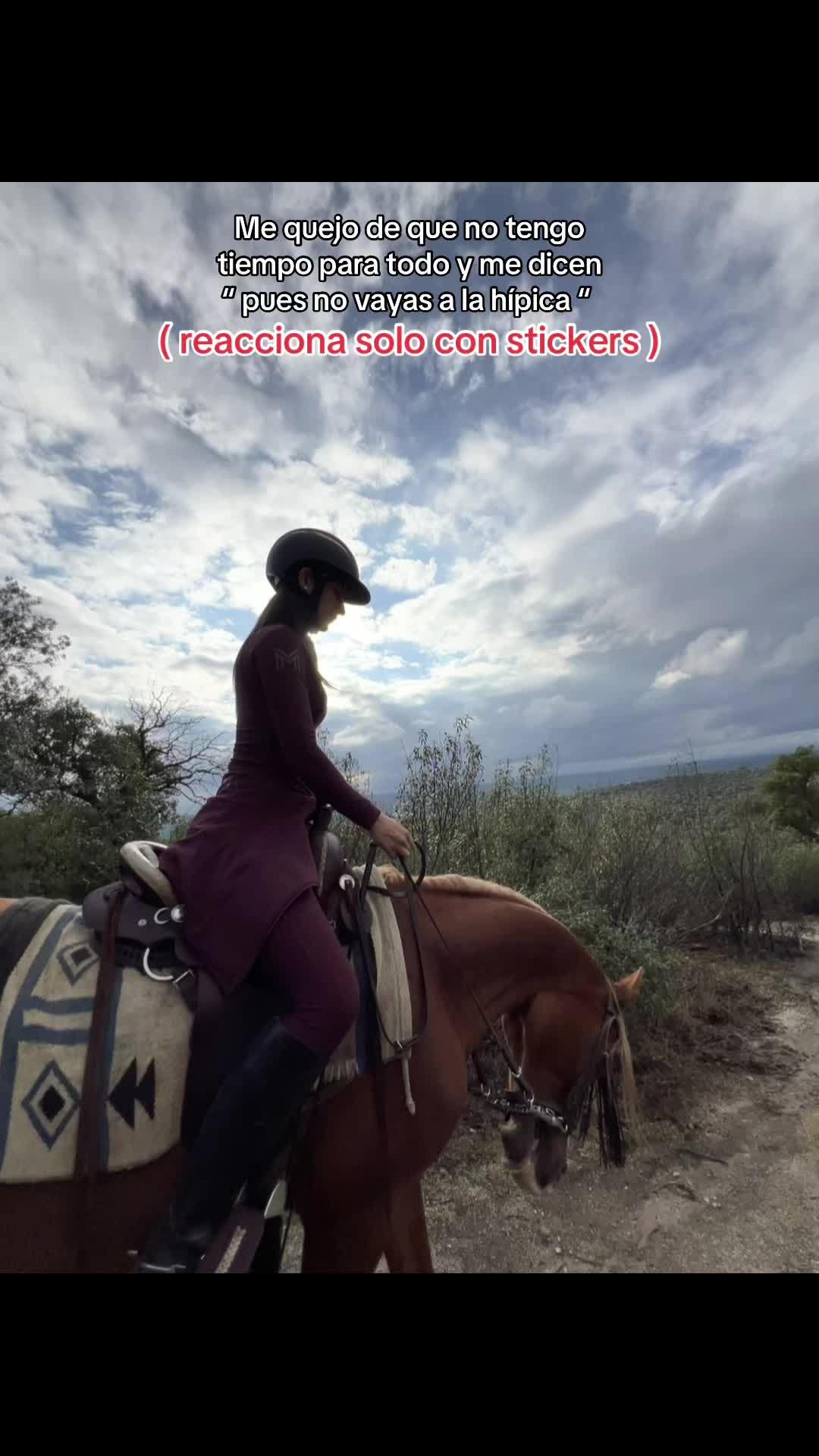 @KaliEquestrian🐎