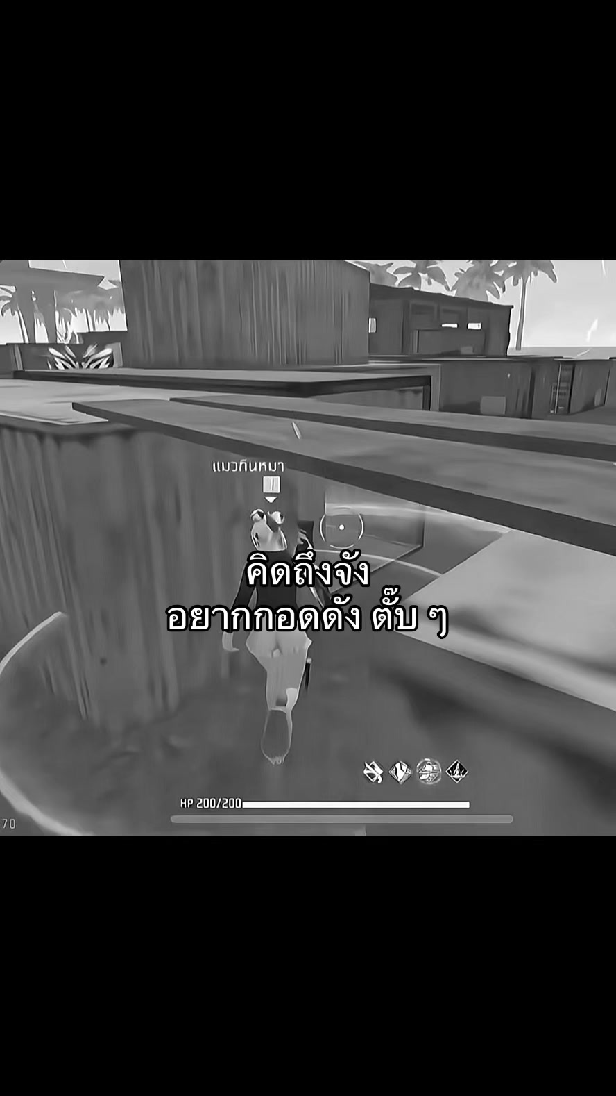 @แมวไม่มีเจ้าของ