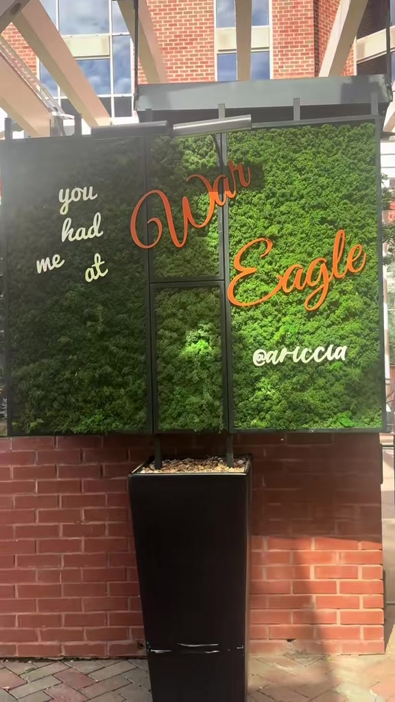 @PA$TOR - OG ☘️🦘